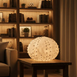 Sea Urchin Light