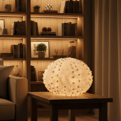 Sea Urchin Light