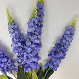 Veronica Spike Bush x5 - Periwinkle - 23"