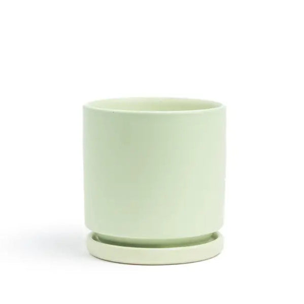 8.25" Cylinder Pots with Water Saucers
