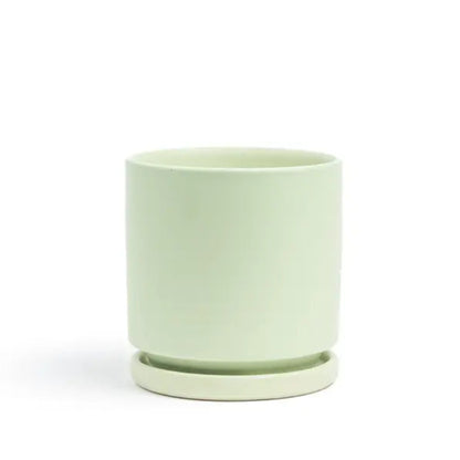 8.25" Cylinder Pots with Water Saucers