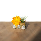 Animal Planters