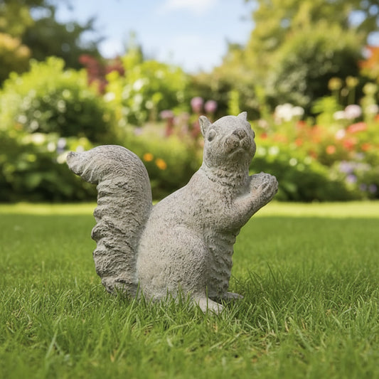 Garden Squirrel
