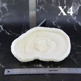 Coral Bowl 6-8"