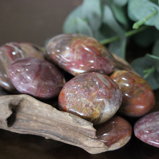 Petrified Wood Palm Stone