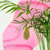 Plant Animals