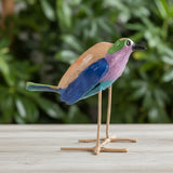 Seedpod Birds