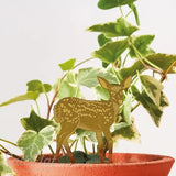 Plant Animals