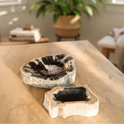 Garden Age Petrified Wood Bowls 9-10"