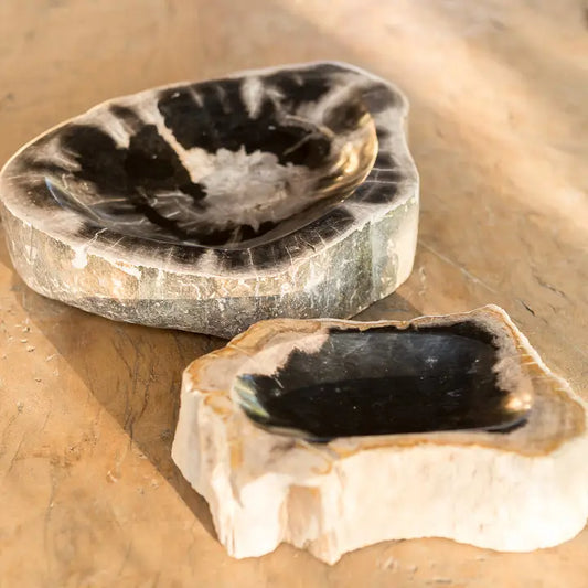 Petrified Wood Bowls 4-6"