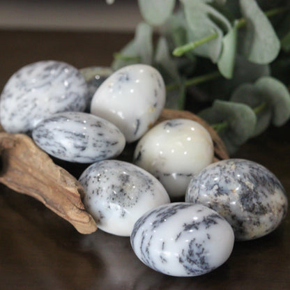 White Dendritic Agate Palm Stone