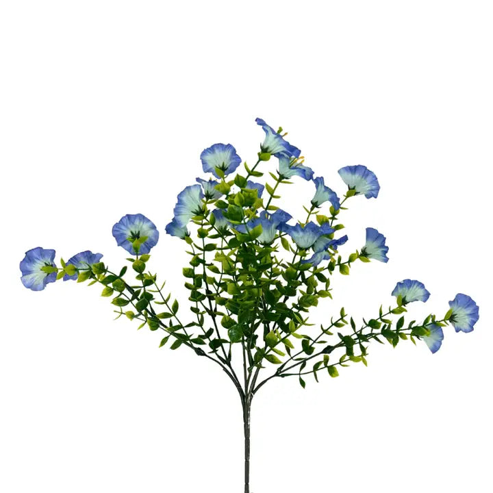 Mini Morning Glory Bunch 14" | Blue