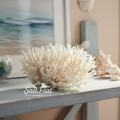 Birdsnest Coral 7-10"