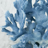 Blue Coral 12-14"