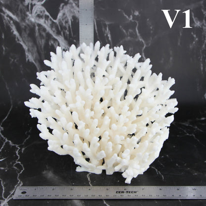 Table Coral 7-10"