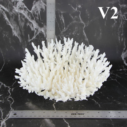 Table Coral 7-10"