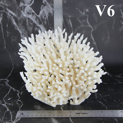 Table Coral 7-10"