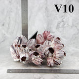 Barnacles 7-10"