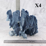 Blue Coral 7-10"