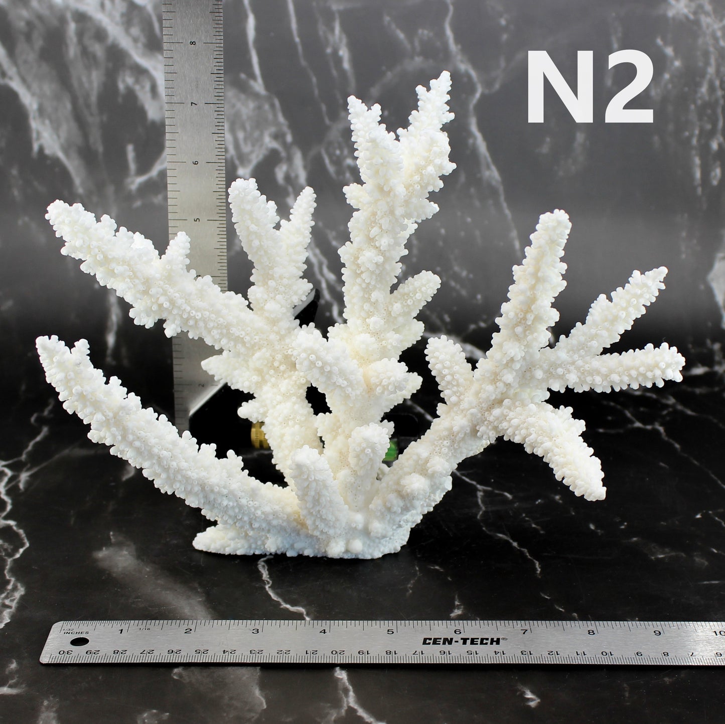 Branch Coral 7-10"