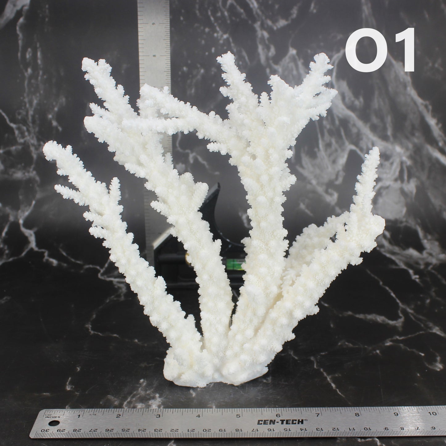 Branch Coral 7-10"