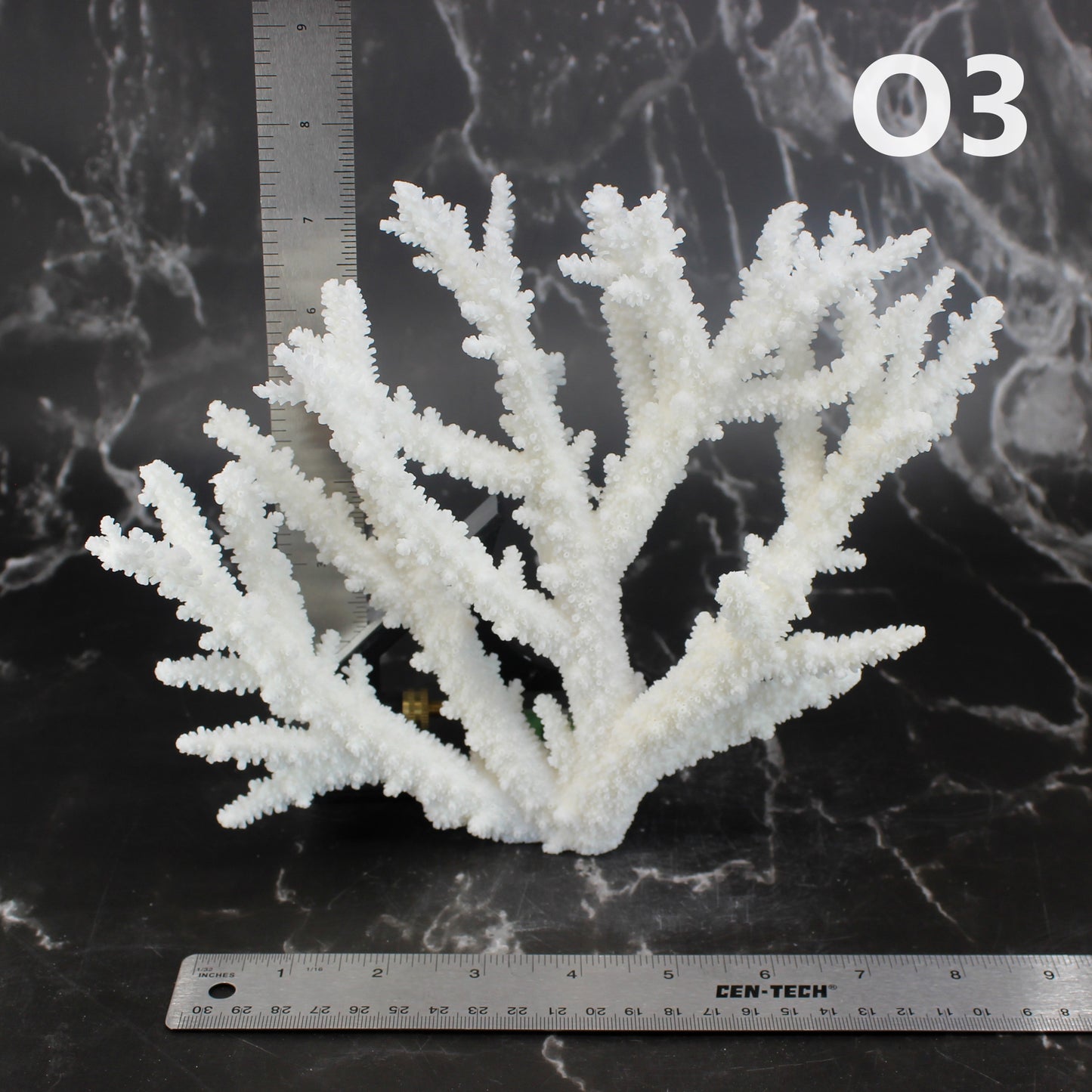 Branch Coral 7-10"