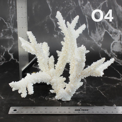 Branch Coral 7-10"