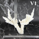 Branch Coral 7-10"