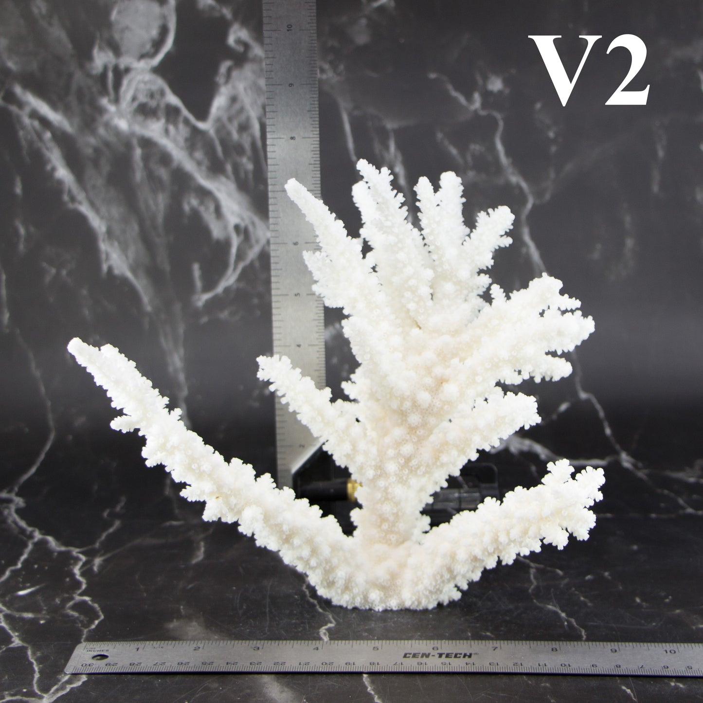 Branch Coral 7-10"