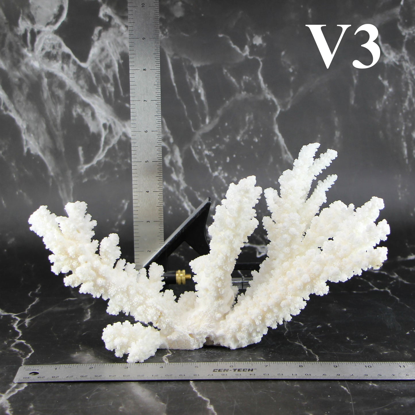 Branch Coral 7-10"