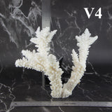 Branch Coral 7-10"
