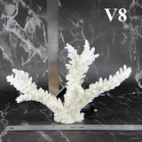 Branch Coral 7-10"