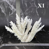 Branch Coral 7-10"