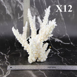 Branch Coral 7-10"