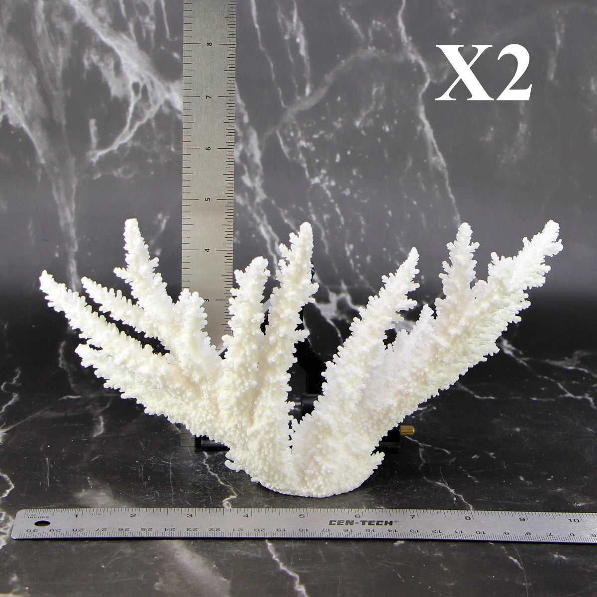 Branch Coral 7-10"