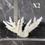 Branch Coral 7-10"