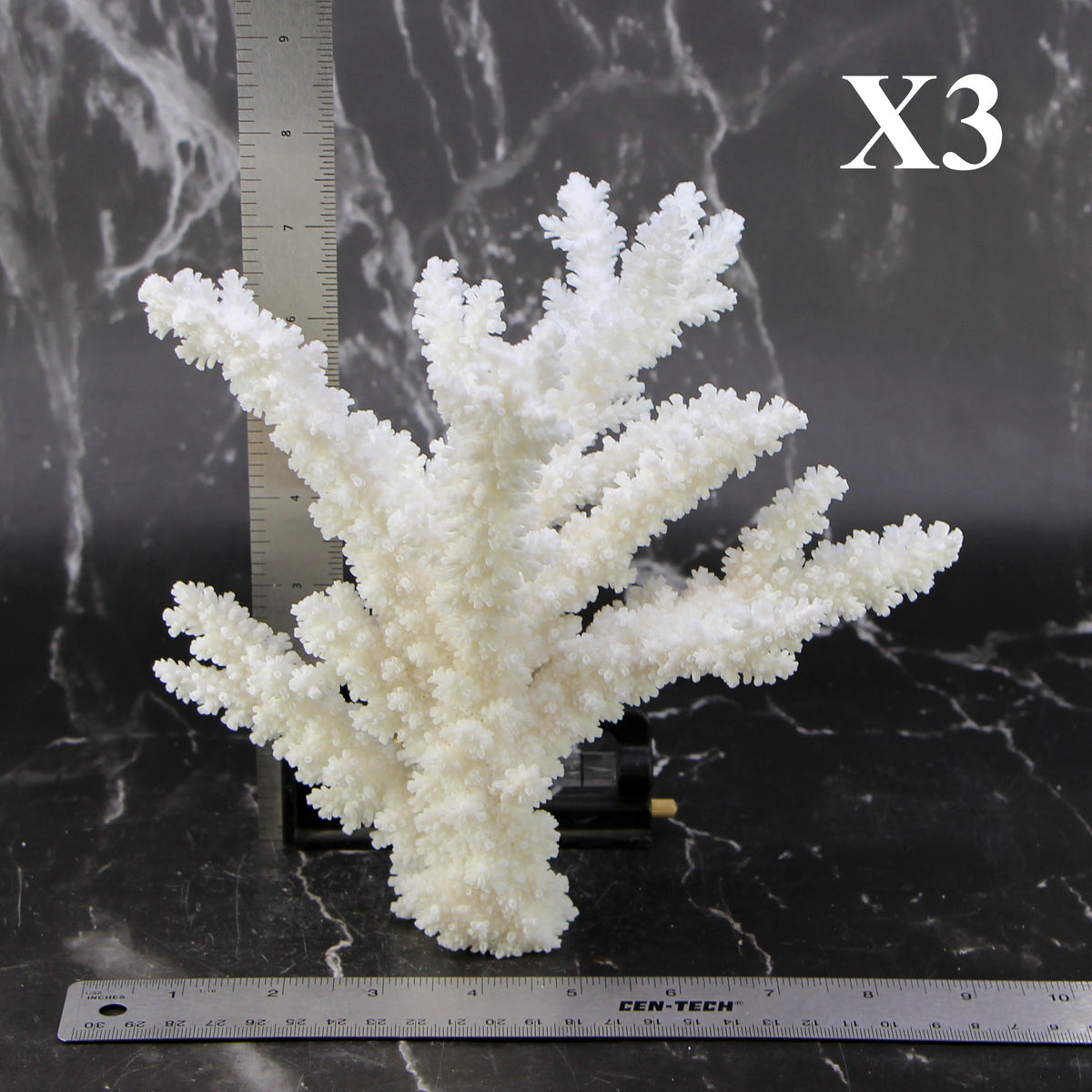 Branch Coral 7-10"