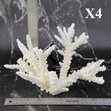 Branch Coral 7-10"