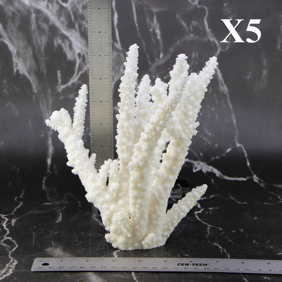 Branch Coral 7-10"