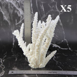 Branch Coral 7-10"