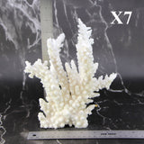 Branch Coral 7-10"