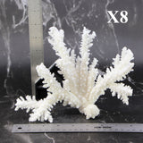 Branch Coral 7-10"