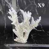 Branch Coral 7-10"