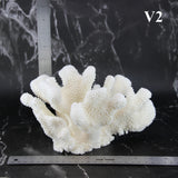 Cauliflower Coral 7-10"