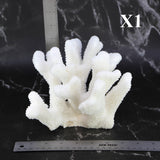 Cauliflower Coral 7-10"