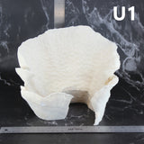 Cup Coral 7-10"