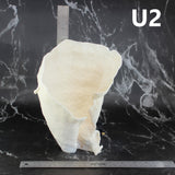 Cup Coral 7-10"