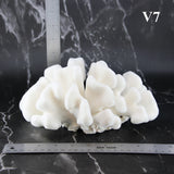 Elkhorn Coral 7-10"