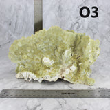 Fire Slab Coral 7-10"