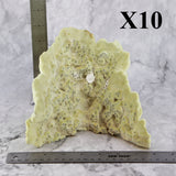 Fire Slab Coral 7-10"